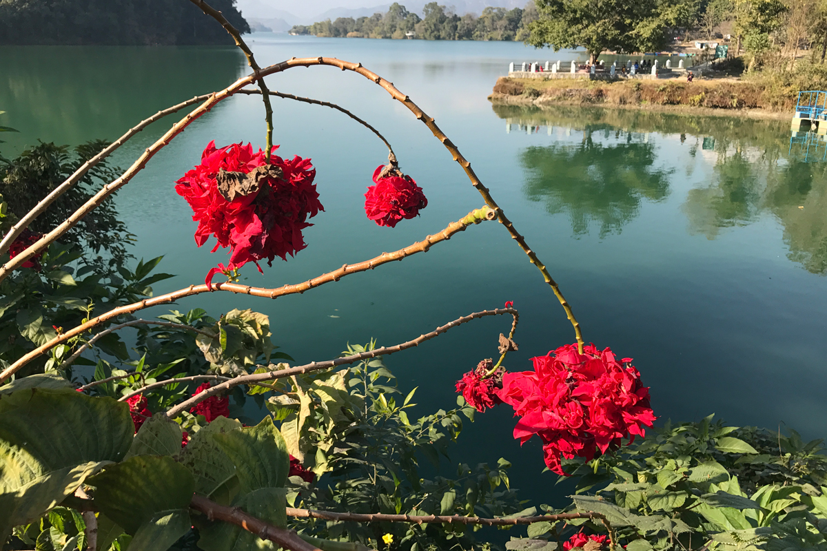 सिमसार दिवसले दिएको सन्देश
