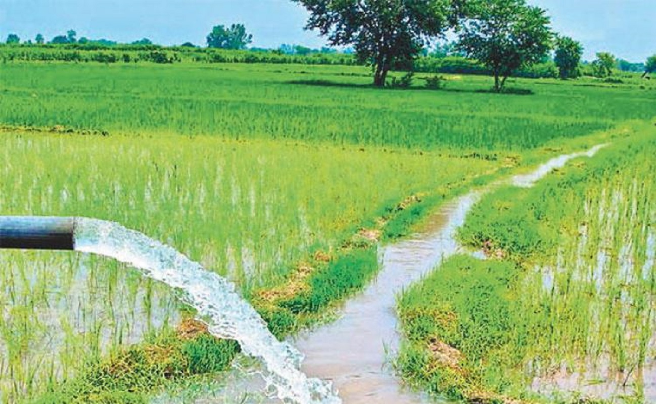 चितवनको १४ सय हेक्टर जग्गामा बाह्रै महिना सिँचाइ