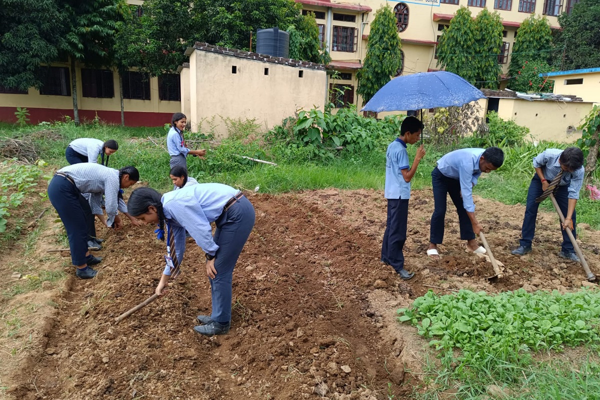 कृषि पढ्ने विद्यार्थी घटेपछि पाठ्यक्रम परिमार्जन गर्ने तयारी