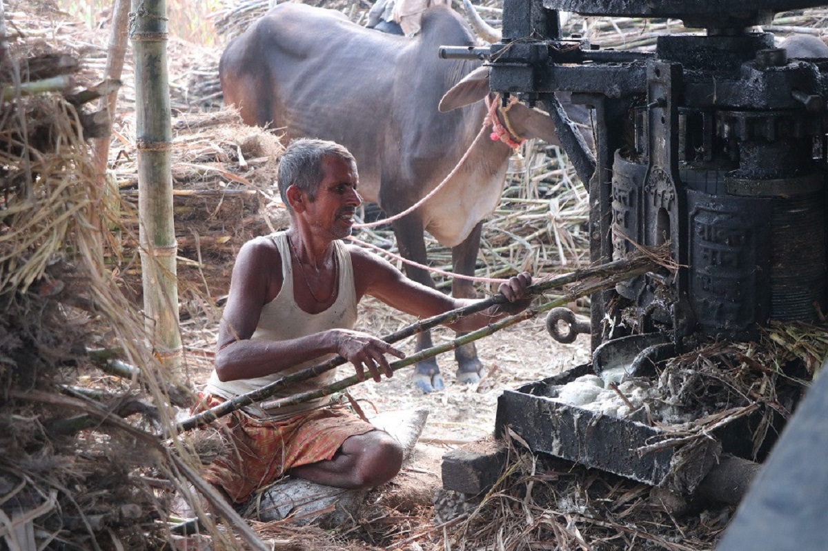 सख्खर जस्तै गुलियो व्यापार