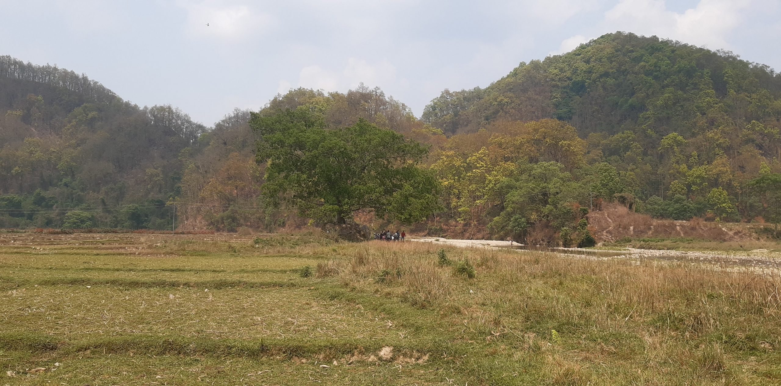 सुरौदी जलाधार क्षेत्रमा पुल नहुँदा जोखिम, खेतीयोग्य जमिन बगरमा परिणत