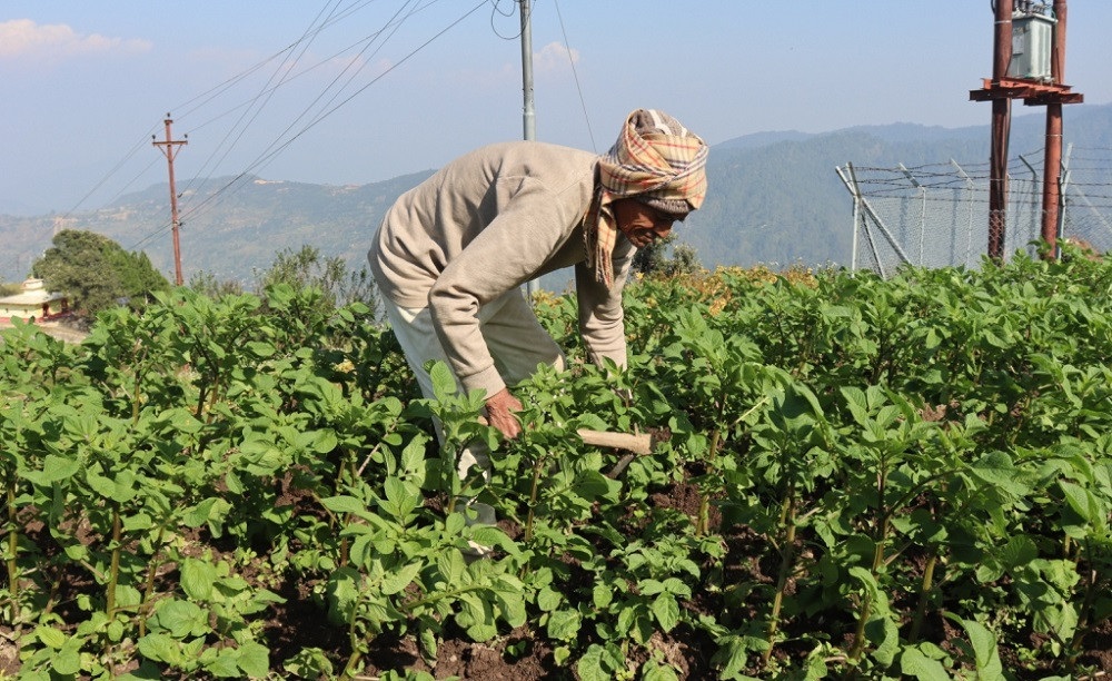 जो ९० वर्षको उमेरमा पनि माटोसँग खेलिरहेछन्