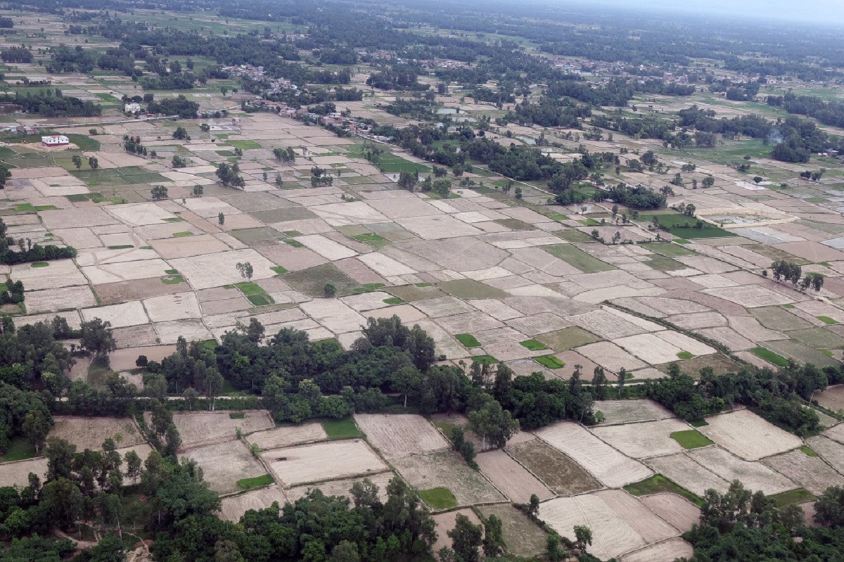 देशैभरि सरदरभन्दा कम वर्षा, मधेसमा खडेरी