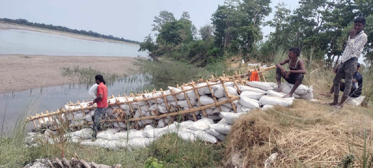 महाकालीको कटान रोक्न कुतियाकबरमा जैविक तटबन्ध