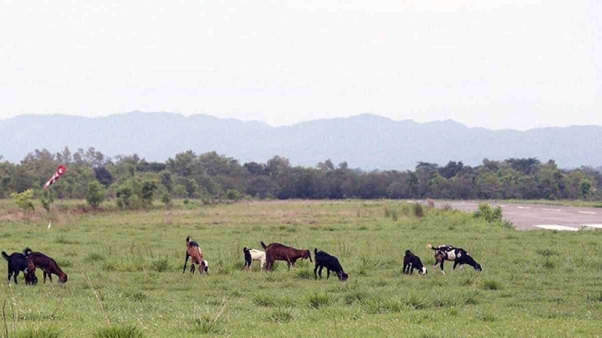 परीक्षण उडान भएको टीकापुर विमानस्थल गौचरनमै सीमित