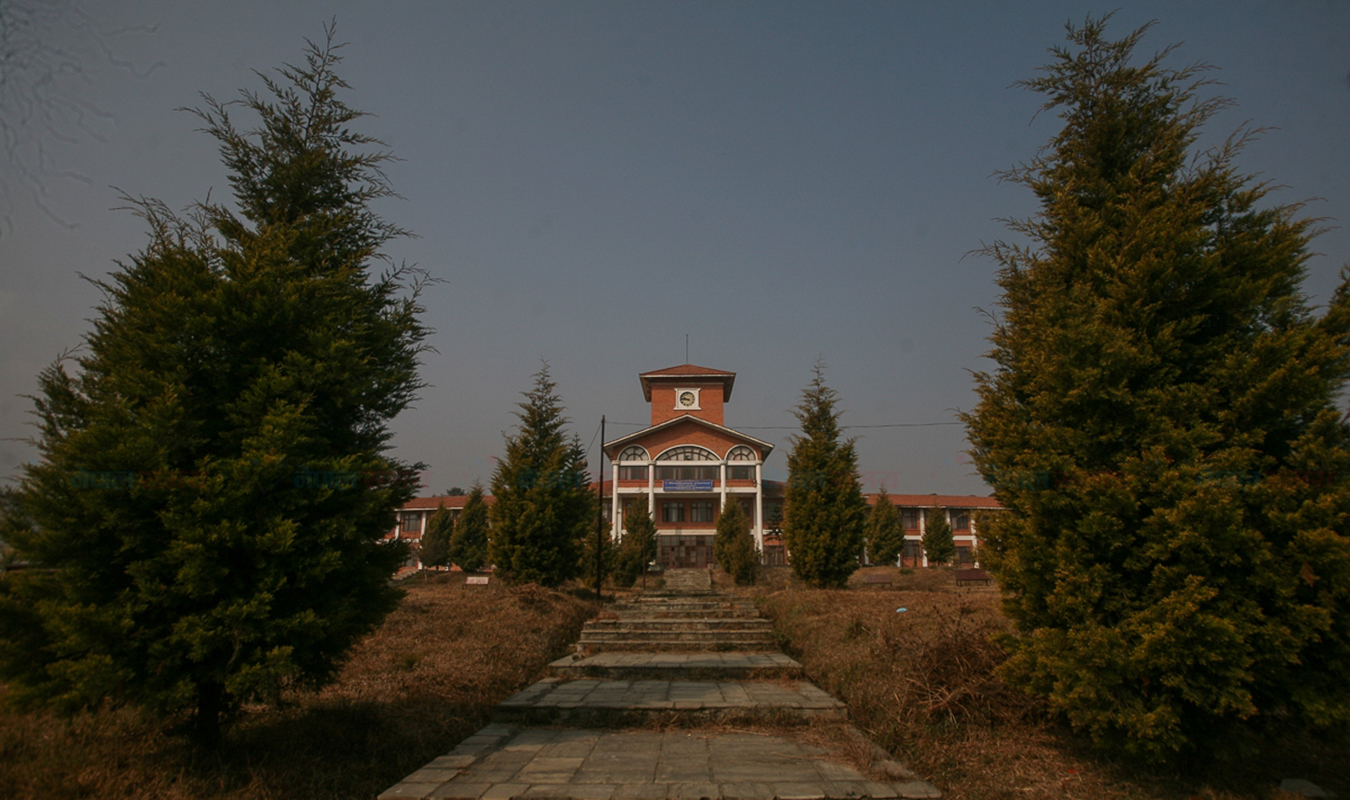 त्रिविले माग्यो एमएड तहको कार्यक्रम थपका लागि आवेदन