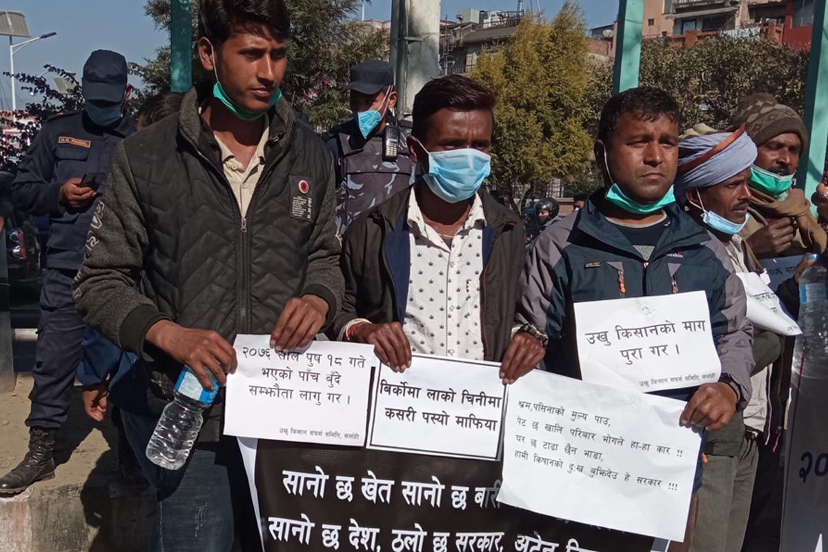 उखु किसानको बक्यौता भुक्तानी गर्न ६ किसान संगठनको माग
