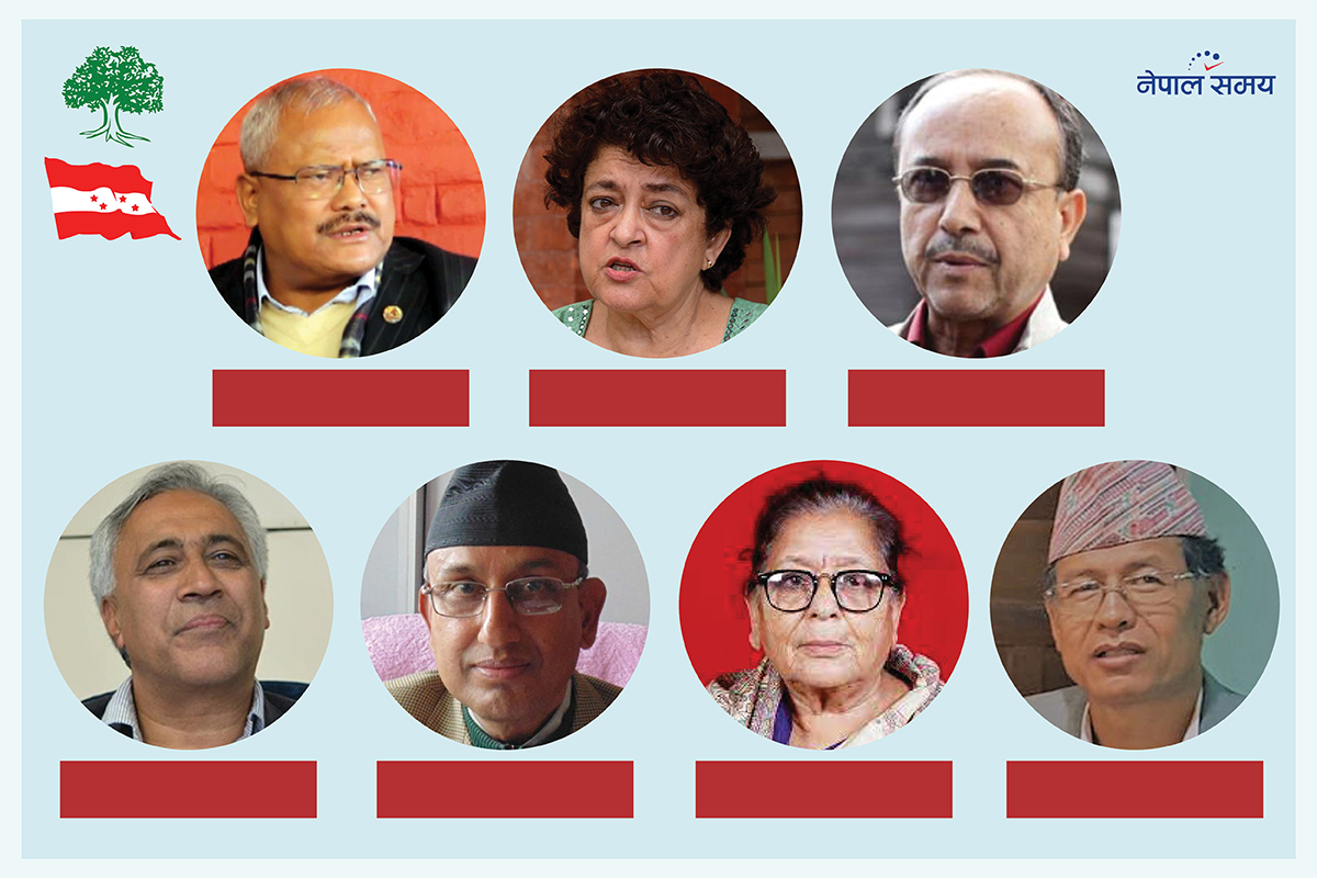 कांग्रेस उपसभापतिको मतगणना सुरु