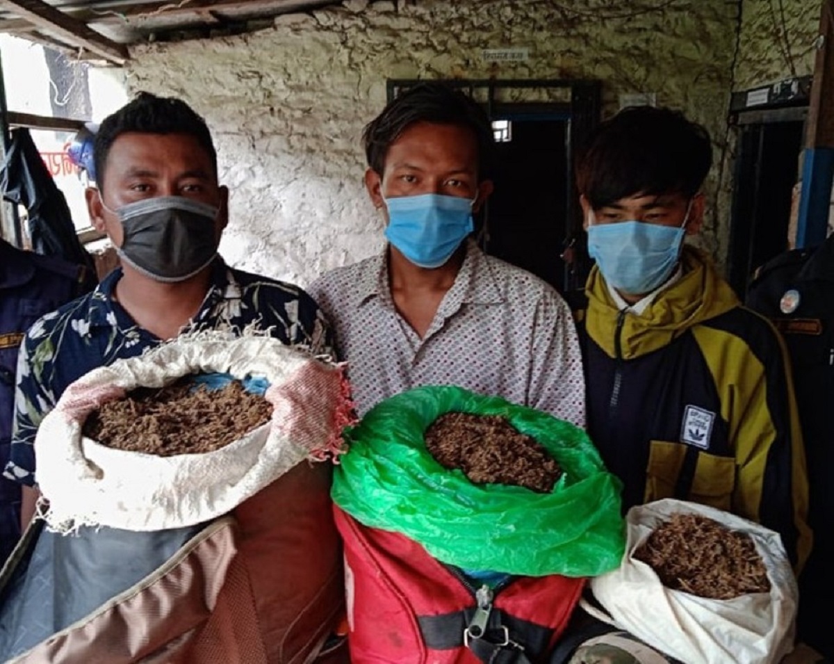 ५१ किलो लागूऔषध गाँजासहित ४ जना पक्राउ
